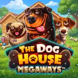 The Dog House Megaways jeu disponible dans l’univers Celsius Casino en France